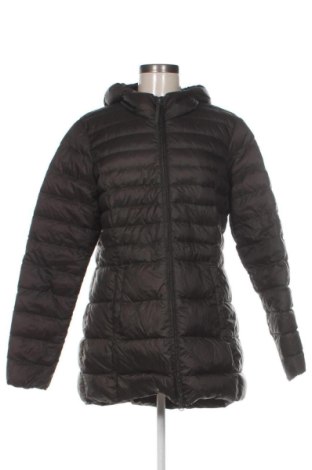 Damenjacke TCM, Größe XL, Farbe Grün, Preis 24,55 €, #136662650