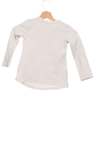 Kinder Shirt Cichlid, Größe 4-5y/ 110-116 cm, Farbe Mehrfarbig, Preis 6,00 €