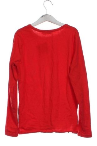 Dětská halenka  Zara, Velikost 11-12y/ 152-158 cm, Barva Červená, Cena  219,00 Kč