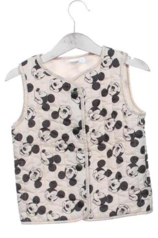 Παιδικό γιλέκο Disney, Μέγεθος 18-24m/ 86-98 εκ., Χρώμα Πολύχρωμο, Τιμή 19,42 €, #136652829