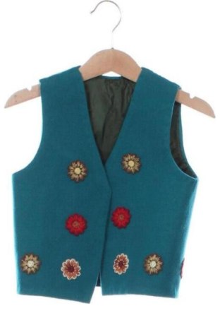 Vestă pentru copii Unbranded, Mărime 2-3y/ 98-104 cm, Culoare Multicolor, Preț 56,00 Lei, #136639975
