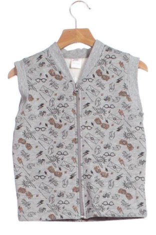 Vestă pentru copii Unbranded, Mărime 3-4y/ 104-110 cm, Culoare Multicolor, Preț 57,35 Lei, #136653643