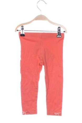 Dětské legíny  Coccodrillo, Velikost 12-18m/ 80-86 cm, Barva Oranžová, Cena  179,00 Kč