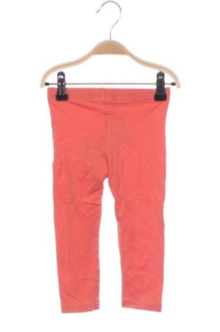 Dětské legíny  Coccodrillo, Velikost 12-18m/ 80-86 cm, Barva Oranžová, Cena  179,00 Kč