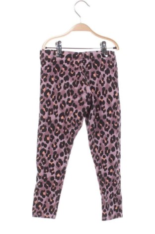 Dziecięce legginsy Next, Rozmiar 5-6y/ 116-122 cm, Kolor Kolorowy, Cena 91,99 zł