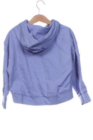 Kinder Sweatshirts Piazza Italia, Größe 5-6y/ 116-122 cm, Farbe Lila, Preis € 14,99