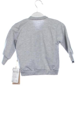 Kinder Sweatshirts Unbranded, Größe 9-12m/ 74-80 cm, Farbe Grau, Preis € 18,00