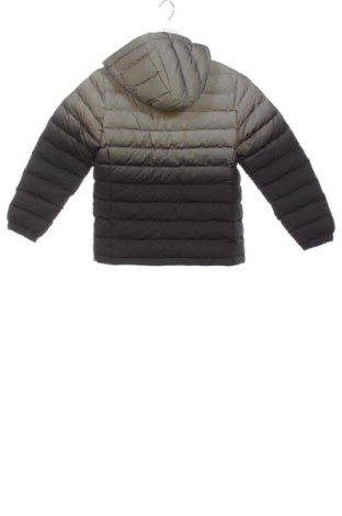 Detská bunda  Next, Veľkosť 5-6y/ 116-122 cm, Farba Viacfarebná, Cena  62,95 €