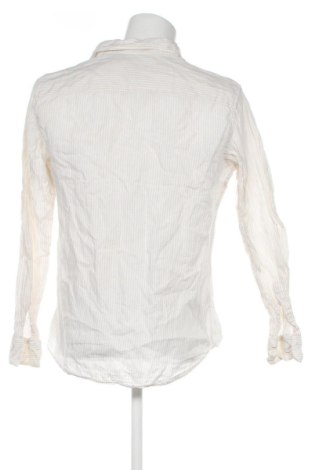 Pánská košile  Massimo Dutti, Velikost L, Barva Vícebarevné, Cena  794,00 Kč