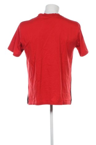 Herren Shirt No Fear, Größe L, Farbe Mehrfarbig, Preis 8,00 €