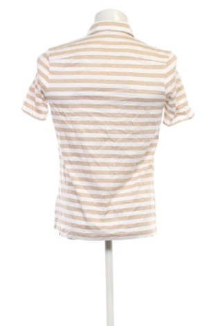 Мъжка тениска Olymp, Размер M, Цвят Многоцветен, Цена 56,24 €