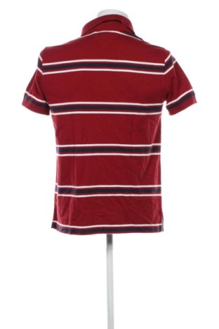 Herren Shirt Tommy Hilfiger, Größe M, Farbe Mehrfarbig, Preis 35,00 €