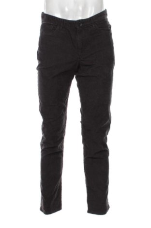 Męskie sztruksy Calvin Klein, Rozmiar M, Kolor Szary, Cena 94,99 zł, #136645140