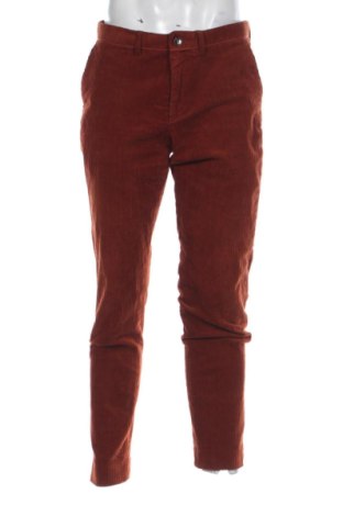 Herren Cordhose Scotch & Soda, Größe L, Farbe Braun, Preis € 49,00, #136609176