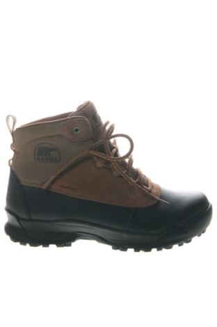Herrenschuhe Sorel, Größe 42, Farbe Mehrfarbig, Preis € 76,30, #136575582
