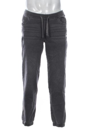 Herrenhose Blue Motion, Größe L, Farbe Grau, Preis 19,95 €, #136659416