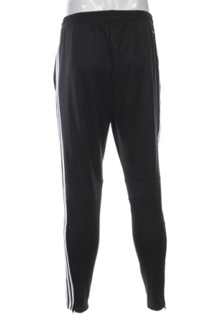 Herren Sporthose Adidas, Größe L, Farbe Schwarz, Preis 71,99 €