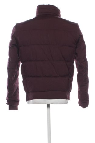 Pánska bunda  Zara, Veľkosť L, Farba Fialová, Cena  25,00 €