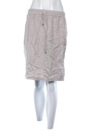 Φούστα Amy Vermont, Μέγεθος L, Χρώμα Γκρί, Τιμή 25,99 €