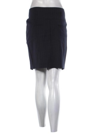 Fustă Unbranded, Mărime XL, Culoare Albastru, Preț 96,24 Lei
