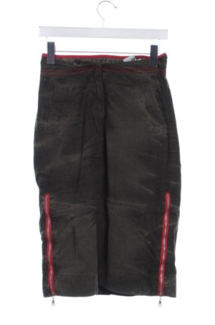 Fustă Unbranded, Mărime XS, Culoare Multicolor, Preț 51,00 Lei, #136642783