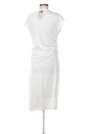 Φόρεμα Anna Field, Μέγεθος XL, Χρώμα Λευκό, Τιμή 37,99 €