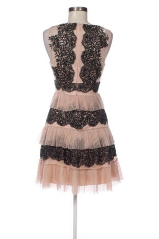 Kleid BCBG Max Azria, Größe S, Farbe Mehrfarbig, Preis 86,99 €