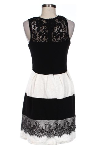 Kleid Colloseum, Größe L, Farbe Mehrfarbig, Preis 25,99 €