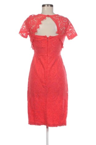 Kleid Dorothy Perkins, Größe S, Farbe Rosa, Preis 17,99 €