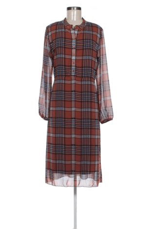 Kleid PTC, Größe L, Farbe Mehrfarbig, Preis 25,99 €, #136642913