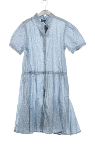 Kleid Polo Ralph Lauren, Größe XS, Farbe Mehrfarbig, Preis 239,99 €
