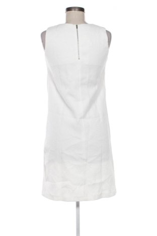 Kleid Promod, Größe S, Farbe Weiß, Preis 31,99 €