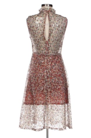 Kleid Sandro, Größe S, Farbe Mehrfarbig, Preis 66,00 €