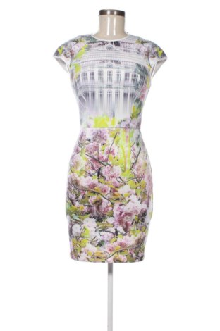 Rochie Ted Baker, Mărime XS, Culoare Multicolor, Preț 418,46 Lei
