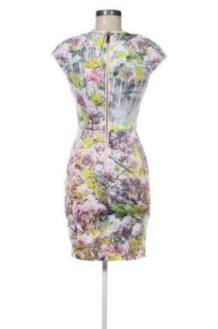 Rochie Ted Baker, Mărime XS, Culoare Multicolor, Preț 418,46 Lei