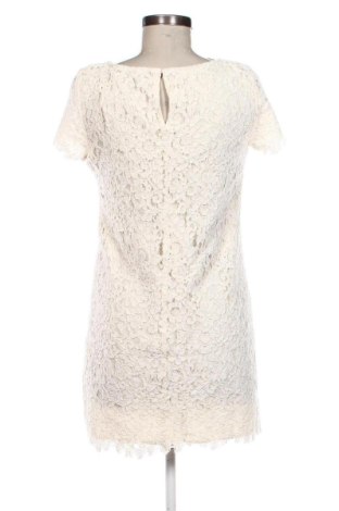 Φόρεμα Zara, Μέγεθος S, Χρώμα Πολύχρωμο, Τιμή 16,99 €