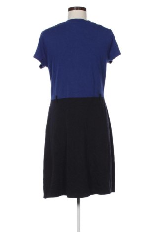 Kleid Zero, Größe L, Farbe Mehrfarbig, Preis 31,99 €