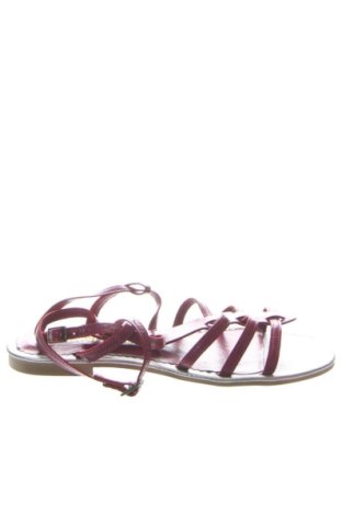 Sandale Flavia Passini, Mărime 35, Culoare Multicolor, Preț 203,32 Lei, #136641925