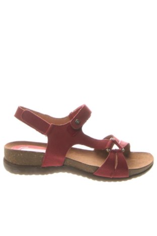 Σανδάλια Go soft, Μέγεθος 38, Χρώμα Κόκκινο, Τιμή 52,00 €, #136590345