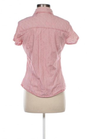 Dámská košile  Cons Jeans, Velikost M, Barva Vícebarevné, Cena  49,00 Kč