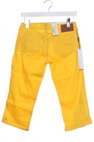 Damen Shorts Calvin Klein Jeans, Größe S, Farbe Gelb, Preis 24,99 €