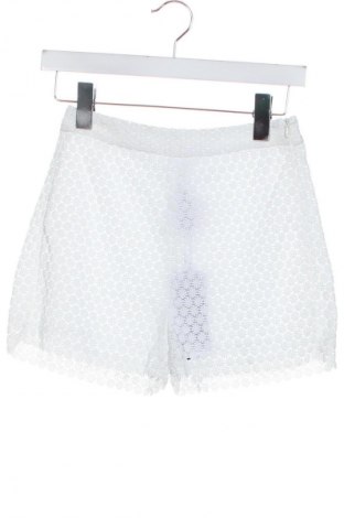 Γυναικείο κοντό παντελόνι Ermanno Scervino, Μέγεθος XS, Χρώμα Λευκό, Τιμή 319,99 €