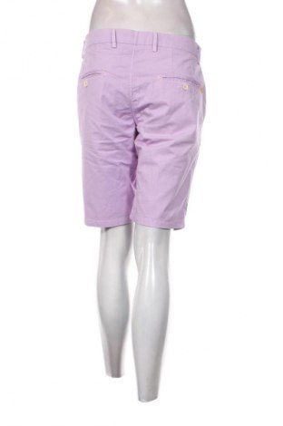 Γυναικείο κοντό παντελόνι Manuel Ritz, Μέγεθος XL, Χρώμα Βιολετί, Τιμή 36,99 €