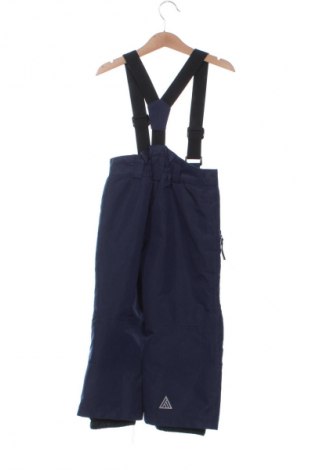 Dziecięcy kombinezon do uprawiania sportów zimowych Lupilu, Rozmiar 2-3y/ 98-104 cm, Kolor Niebieski, Cena 57,99 zł