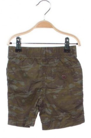 Детски къс панталон Tex, Размер 2-3m/ 56-62 см, Цвят Многоцветен, Цена 2,04 €