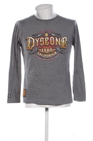 Herren Shirt Dyseone, Größe XL, Farbe Grau, Preis € 20,99