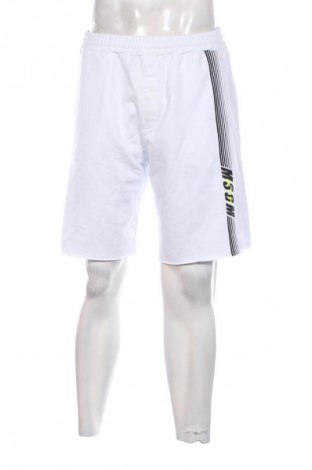 Ανδρικό κοντό παντελόνι MSGM, Μέγεθος L, Χρώμα Λευκό, Τιμή 204,99 €