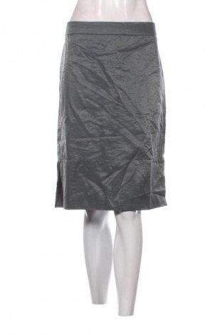 Sukňa Unbranded, Veľkosť XL, Farba Sivá, Cena  1,95 €