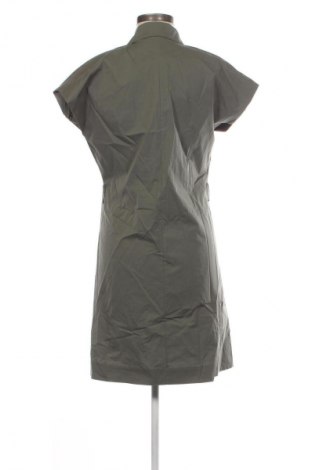 Kleid Antonelli, Größe L, Farbe Grün, Preis € 60,99