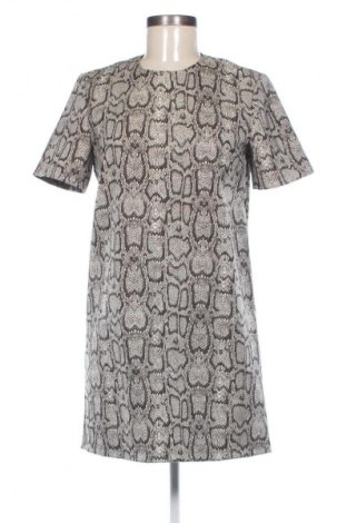 Sukienka Zara, Rozmiar S, Kolor Kolorowy, Cena 27,99 zł